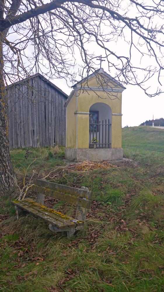 Lausbühel (31 Bildaufrufe)