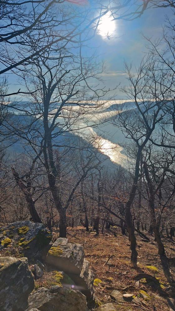 Poppenberg (33 Bildaufrufe)