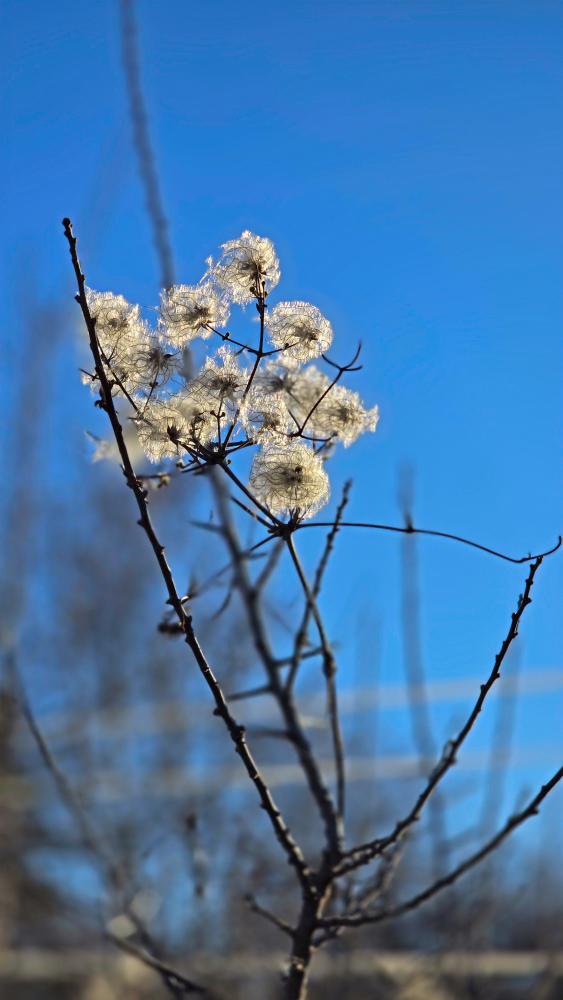 Am Giritzer, Kalkberg (54 Bildaufrufe)