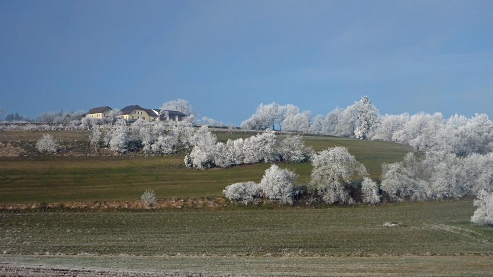 Daxberg (47 Bildaufrufe)