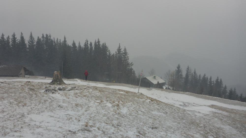 Tirolerkogel (43 Bildaufrufe)