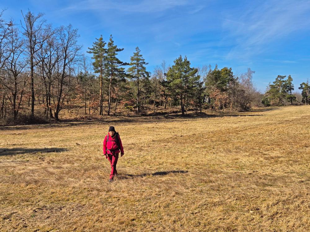 Hardeggerberg (25 Bildaufrufe)