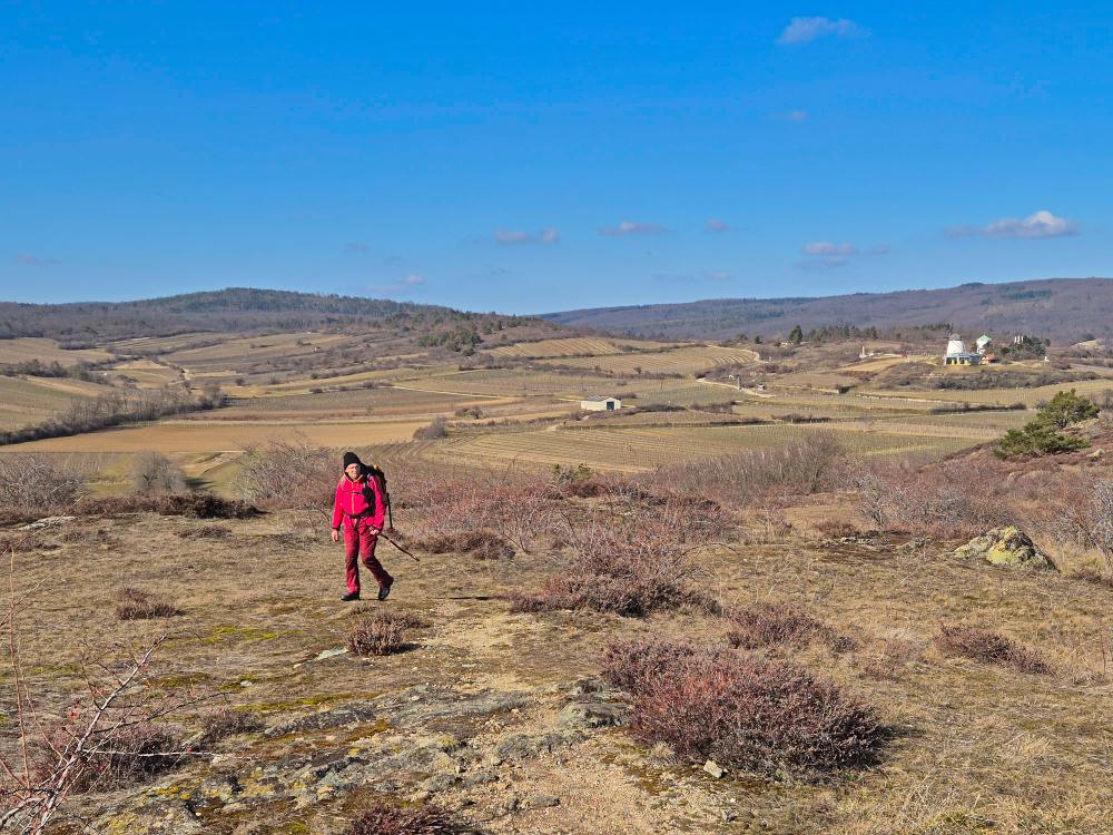 Hardeggerberg (30 Bildaufrufe)