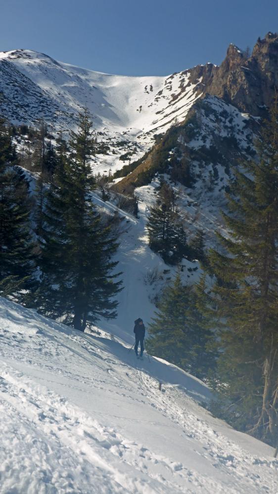 Leobner (54 Bildaufrufe)