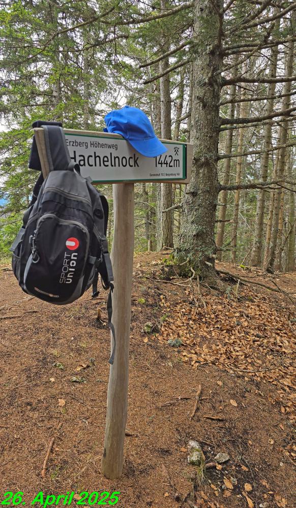 Hachelnock (30 Bildaufrufe)
