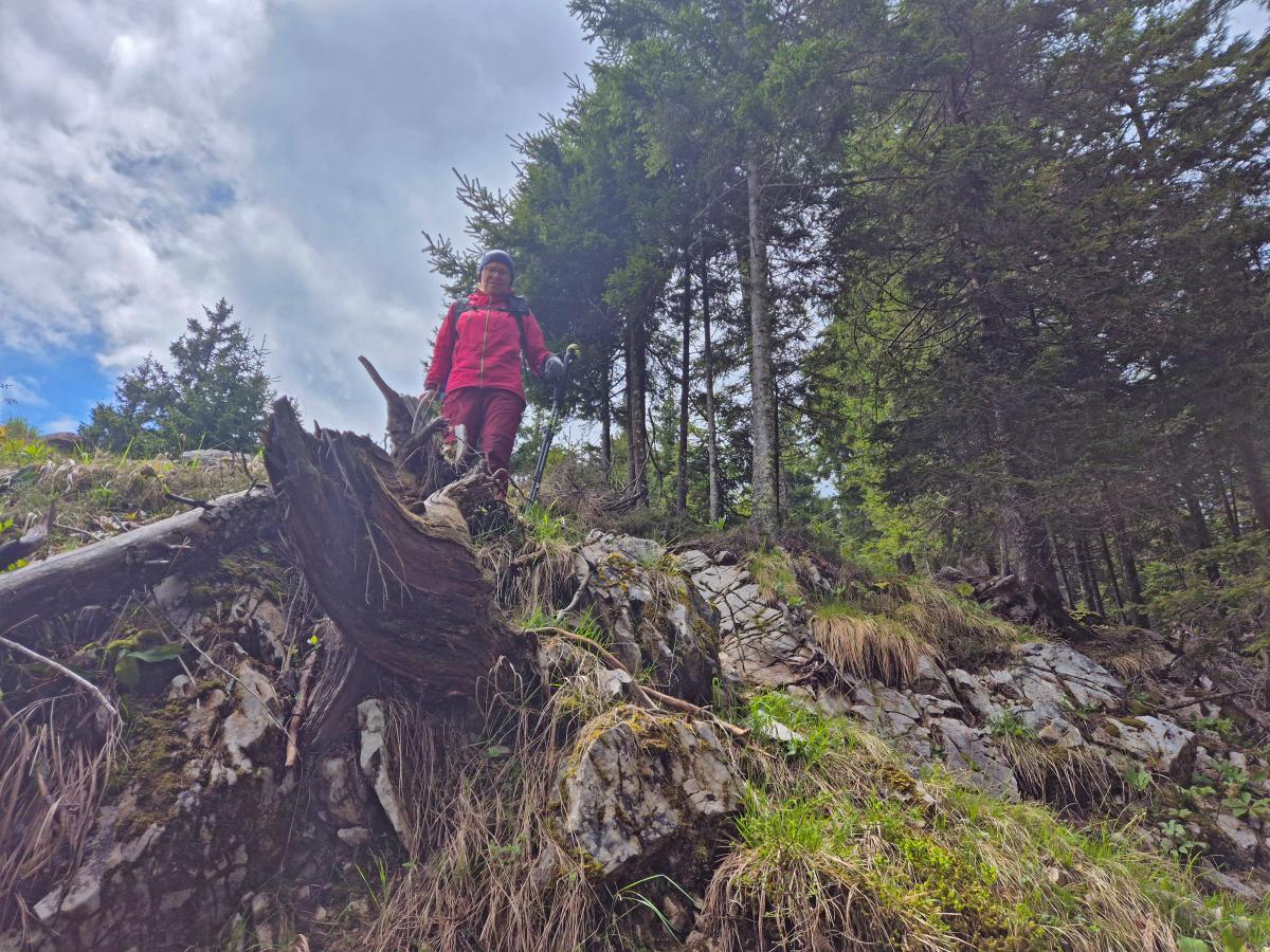 Mittagsnock (43 Bildaufrufe)