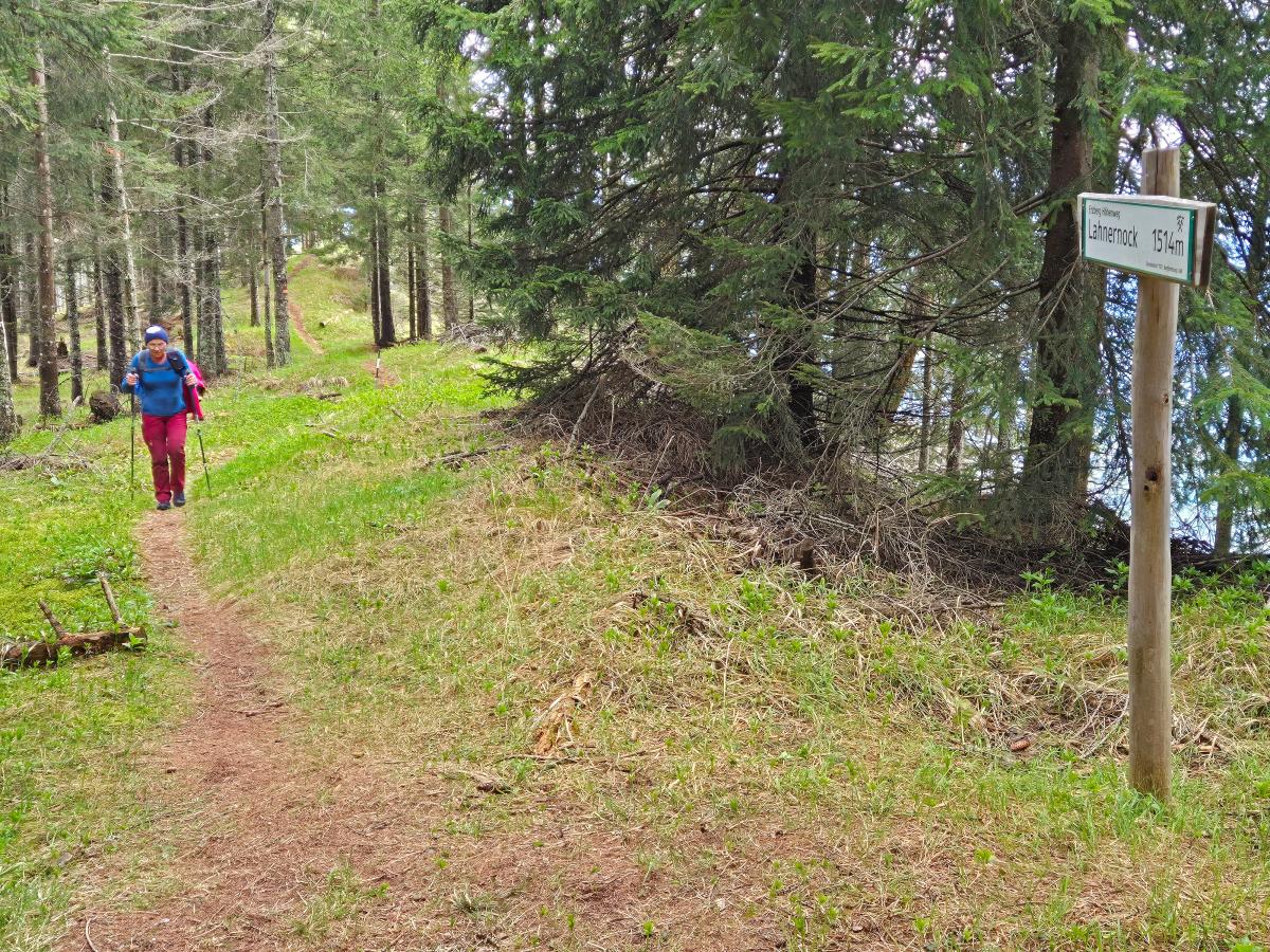 Mittagsnock (41 Bildaufrufe)