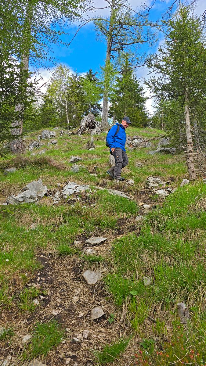 Mittagsnock (32 Bildaufrufe)