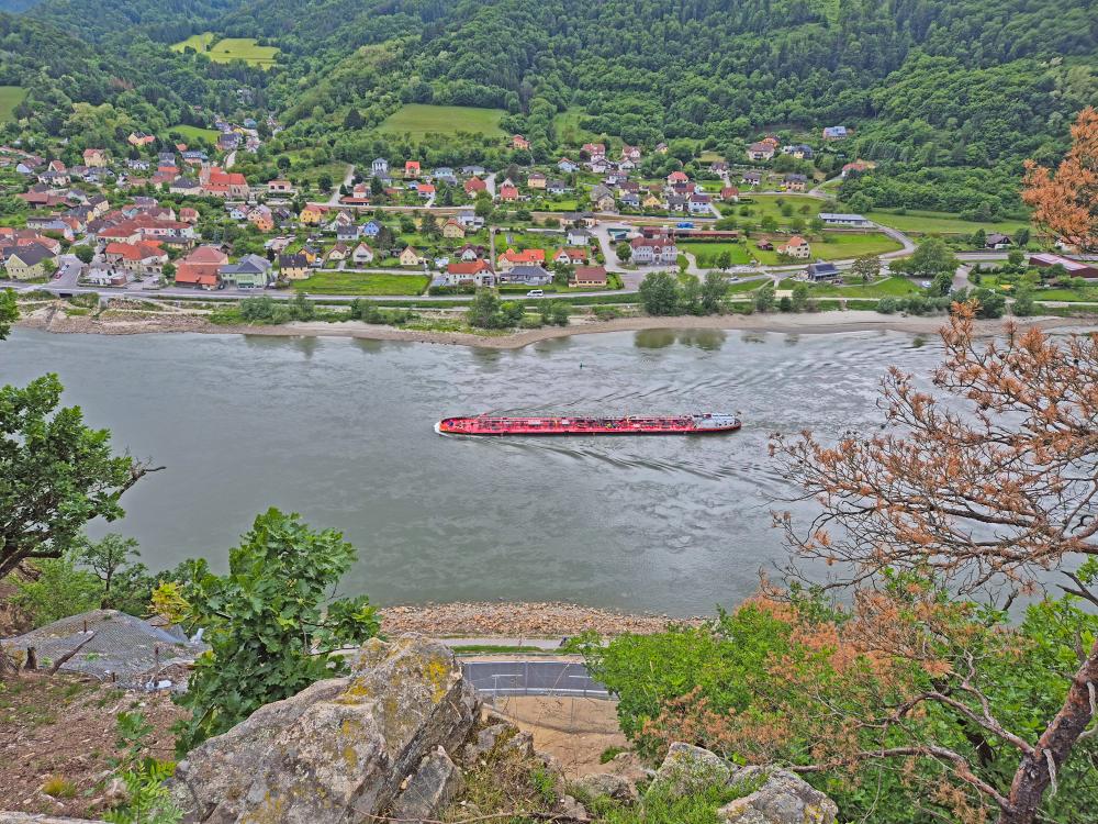 Herrenwald (28 Bildaufrufe)