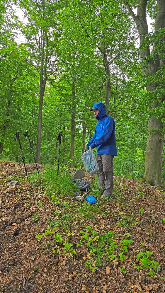 Herrenwald (36 Bildaufrufe)
