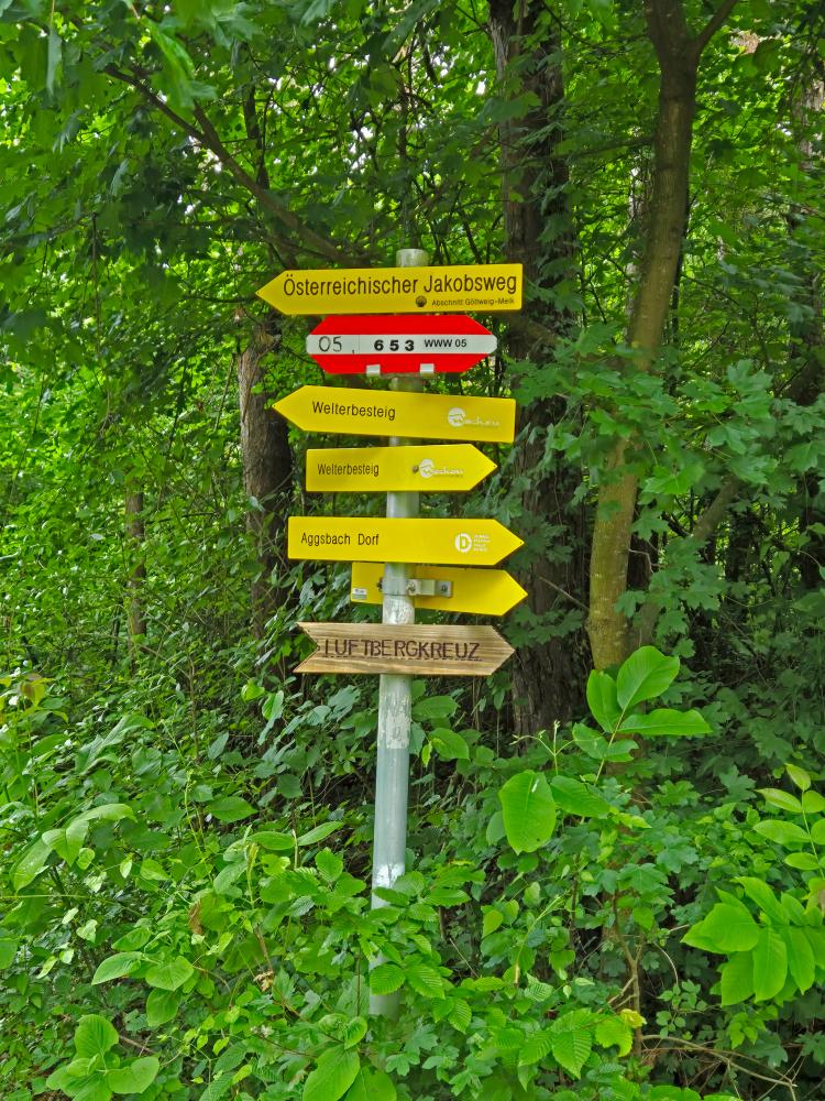 Herrenwald (32 Bildaufrufe)