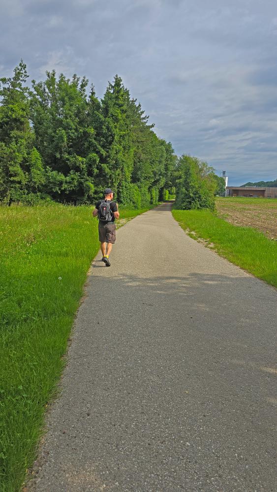 Im Hochholz (24 Bildaufrufe)