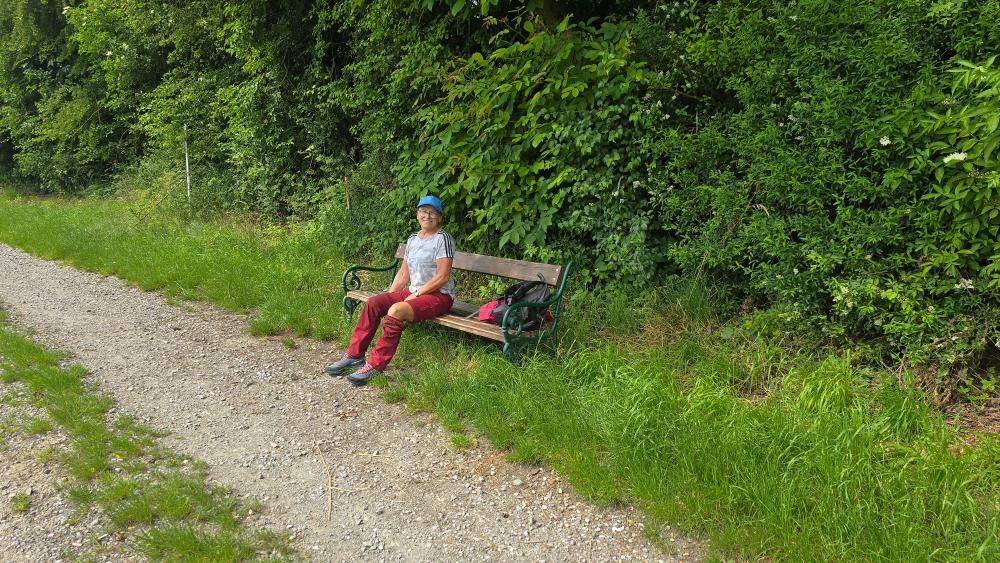 Im Hochholz (25 Bildaufrufe)