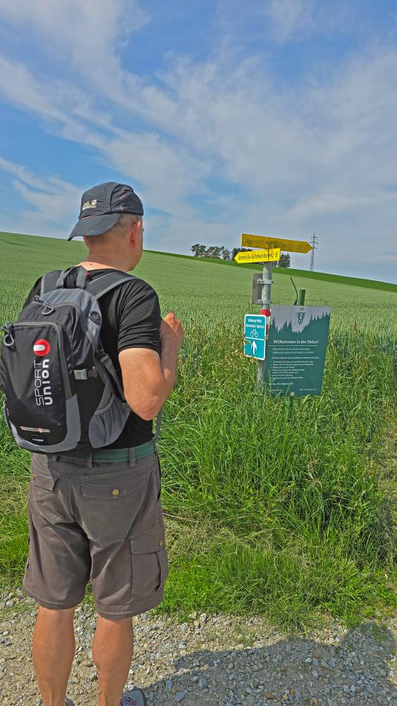 Im Hochholz (26 Bildaufrufe)