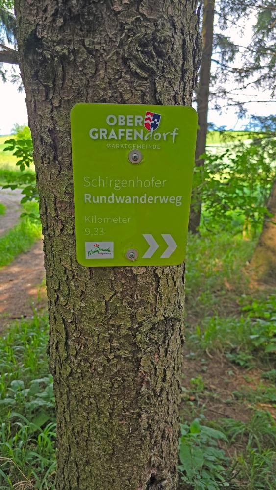 Im Hochholz (13 Bildaufrufe)