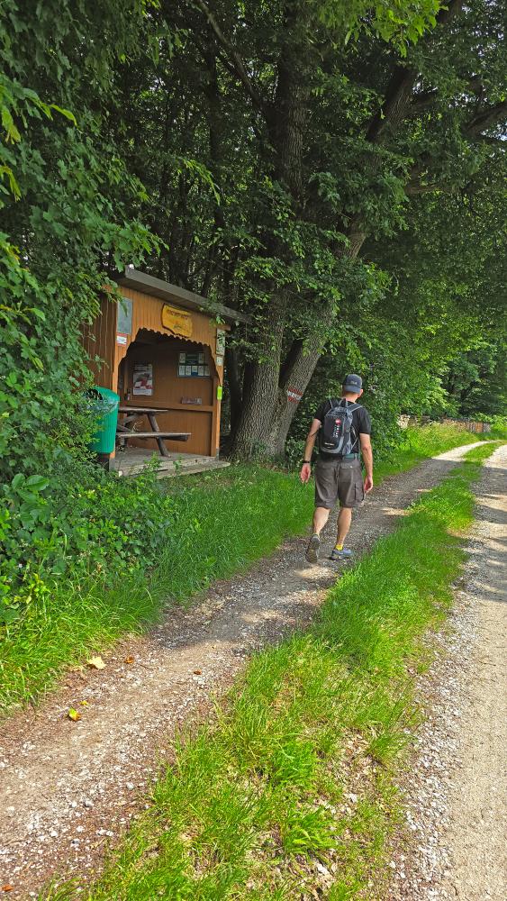 Im Hochholz (25 Bildaufrufe)