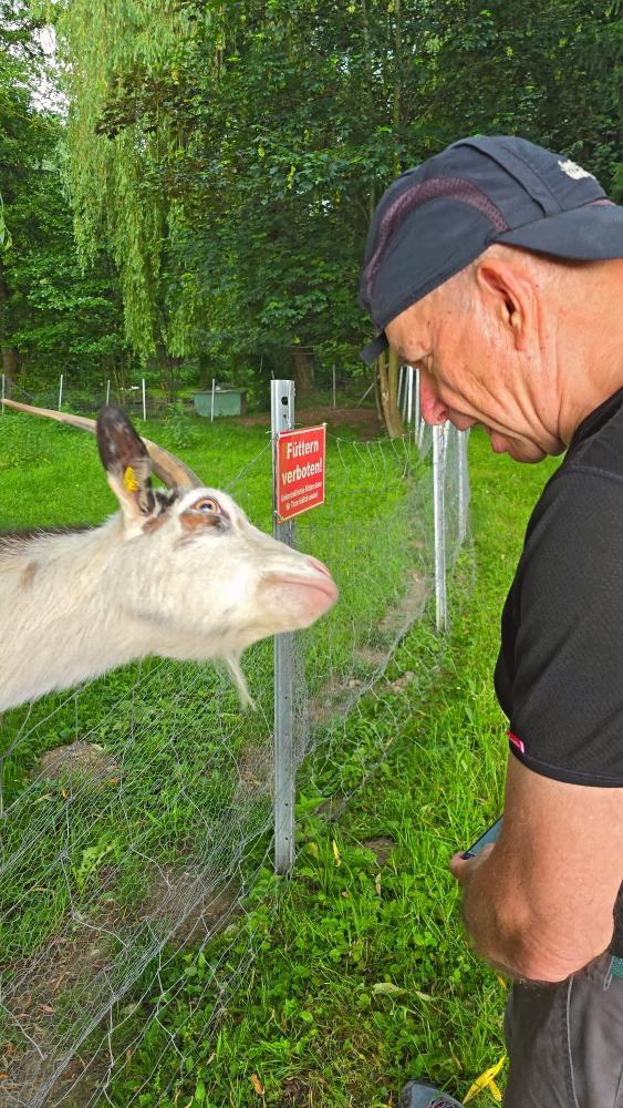 Im Hochholz (3 Bildaufrufe)
