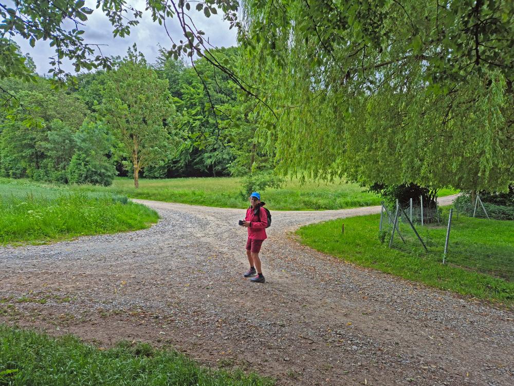 Im Hochholz (19 Bildaufrufe)