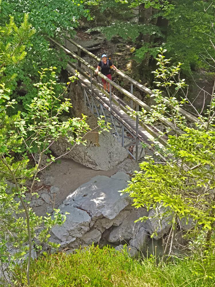 Hintere Tormäuer (36 Bildaufrufe)