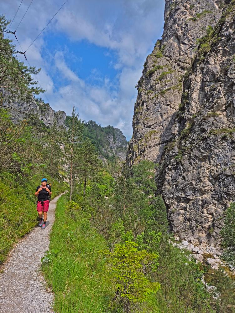 Hintere Tormäuer (26 Bildaufrufe)