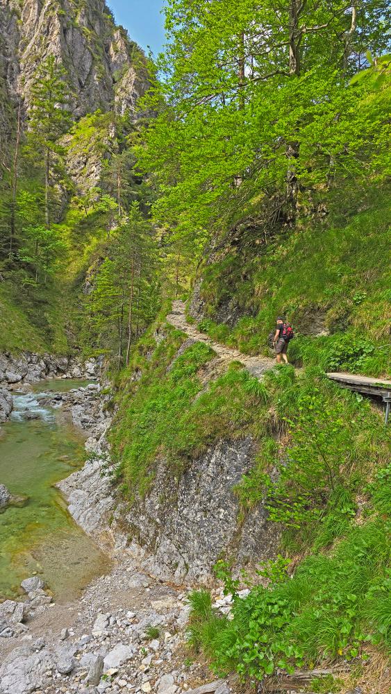 Hintere Tormäuer (31 Bildaufrufe)