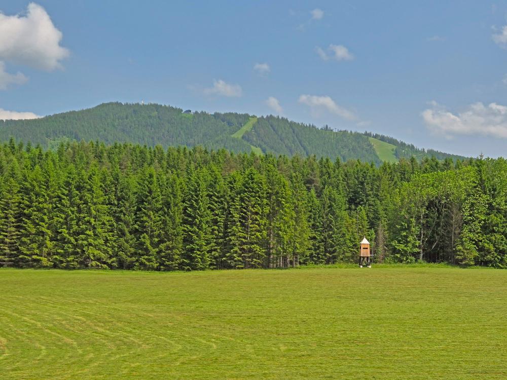 Hintere Tormäuer (26 Bildaufrufe)