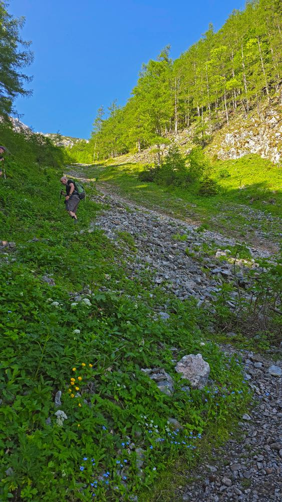 Schneeberg (57 Bildaufrufe)