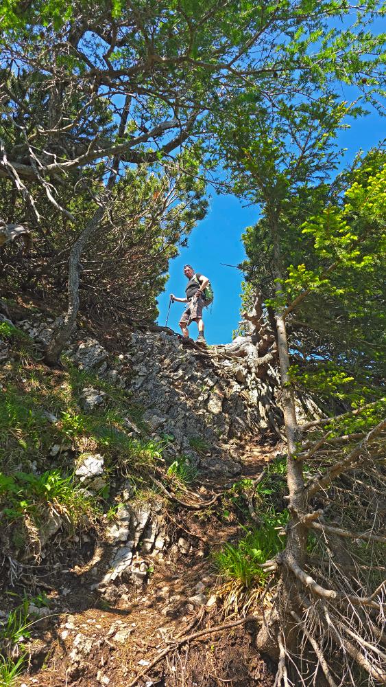Schneeberg (10 Bildaufrufe)