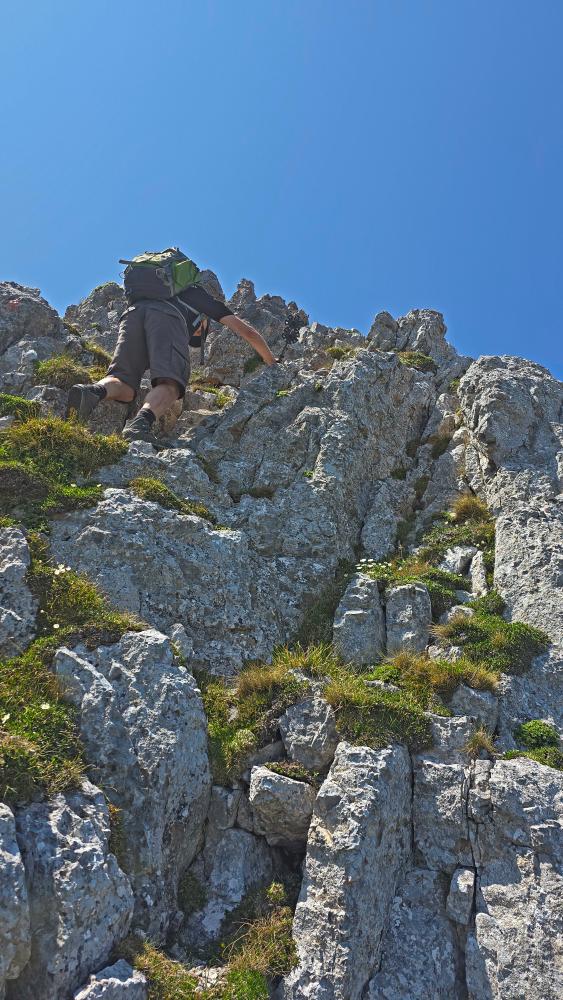 Schneeberg (54 Bildaufrufe)