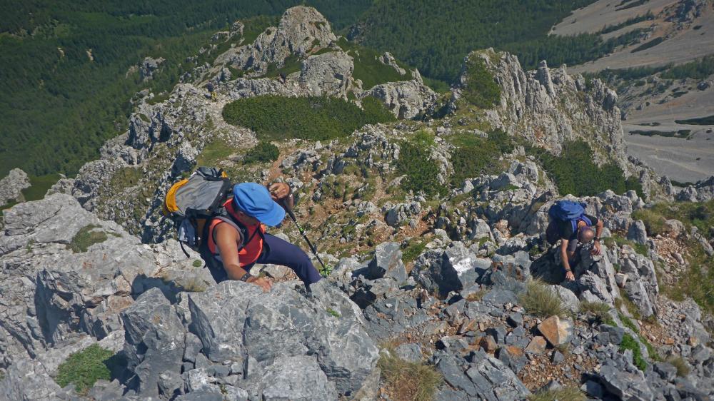 Schneeberg (50 Bildaufrufe)