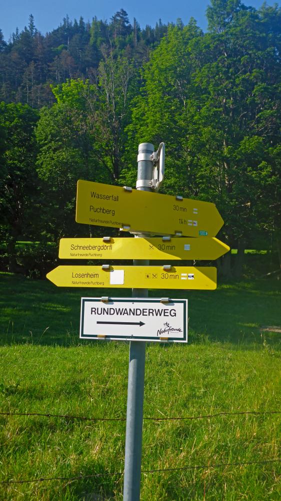 Schneeberg (38 Bildaufrufe)