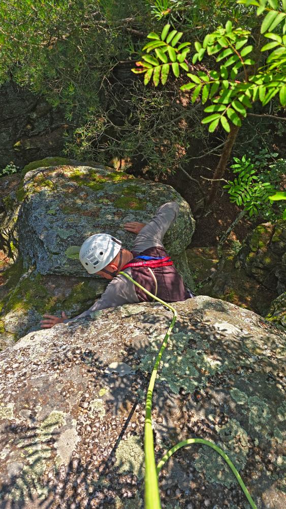 Prinz-Schönburg-Felsen (36 Bildaufrufe)