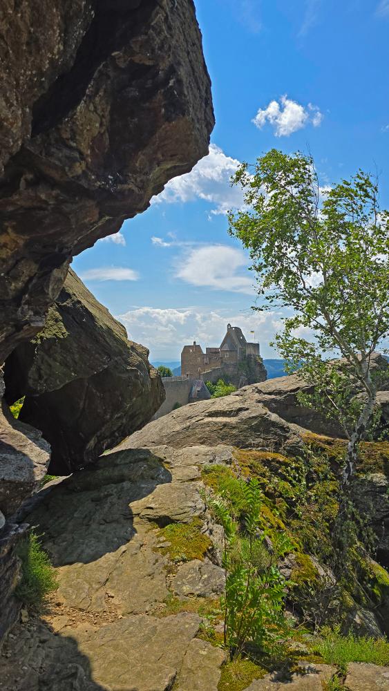 Prinz-Schönburg-Felsen (36 Bildaufrufe)