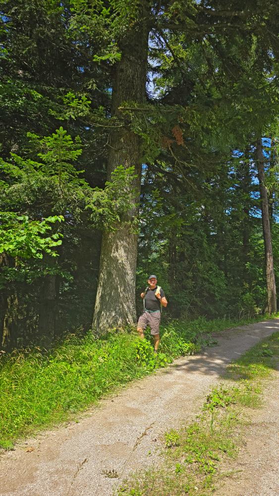 Hohenas (44 Bildaufrufe)