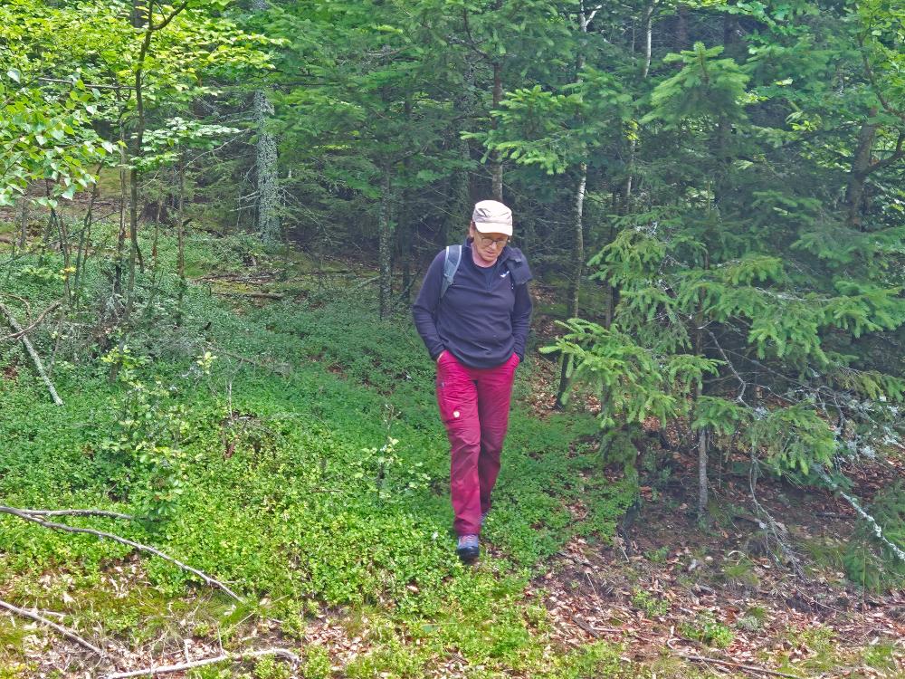 Eulenberg (25 Bildaufrufe)