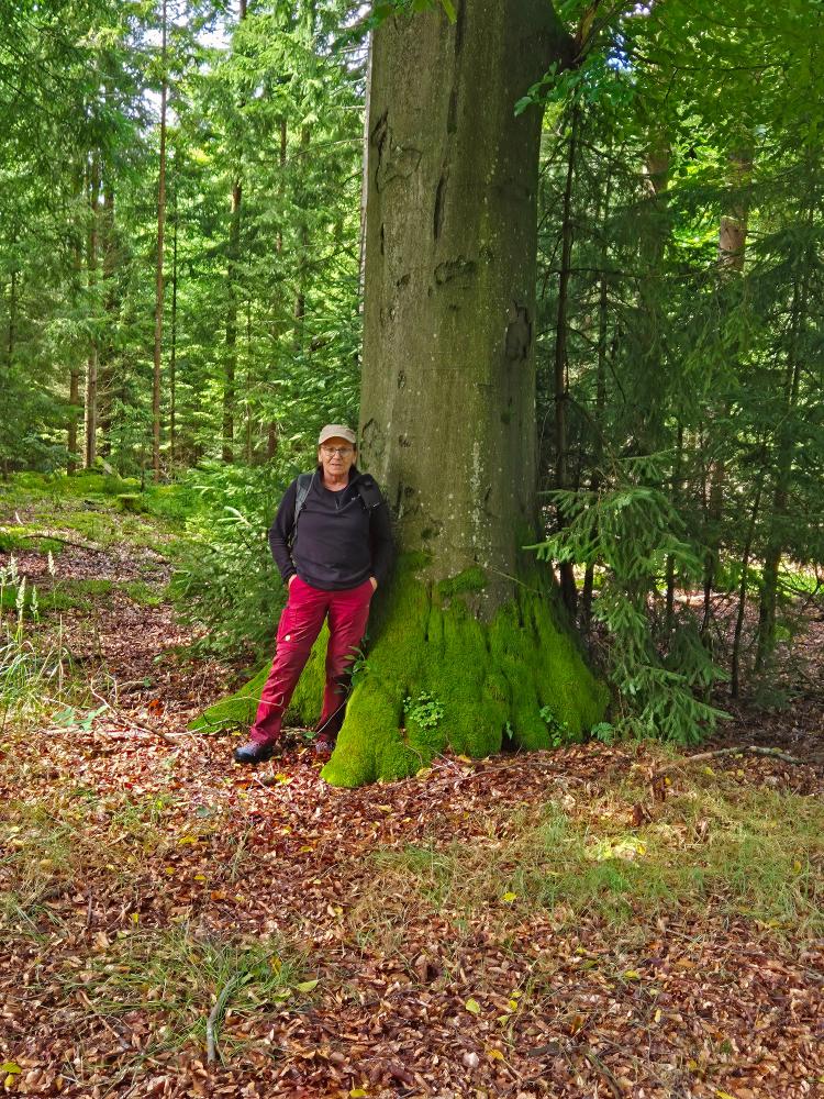 Eulenberg (17 Bildaufrufe)