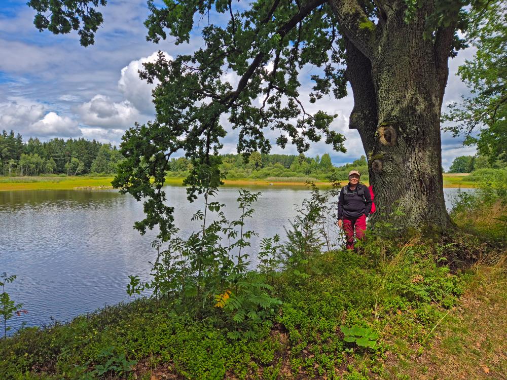 Eulenberg (22 Bildaufrufe)