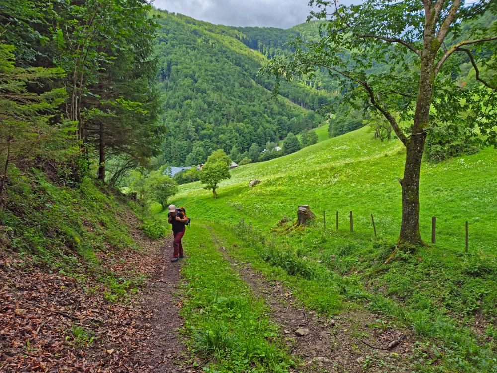 Hohenstein (41 Bildaufrufe)