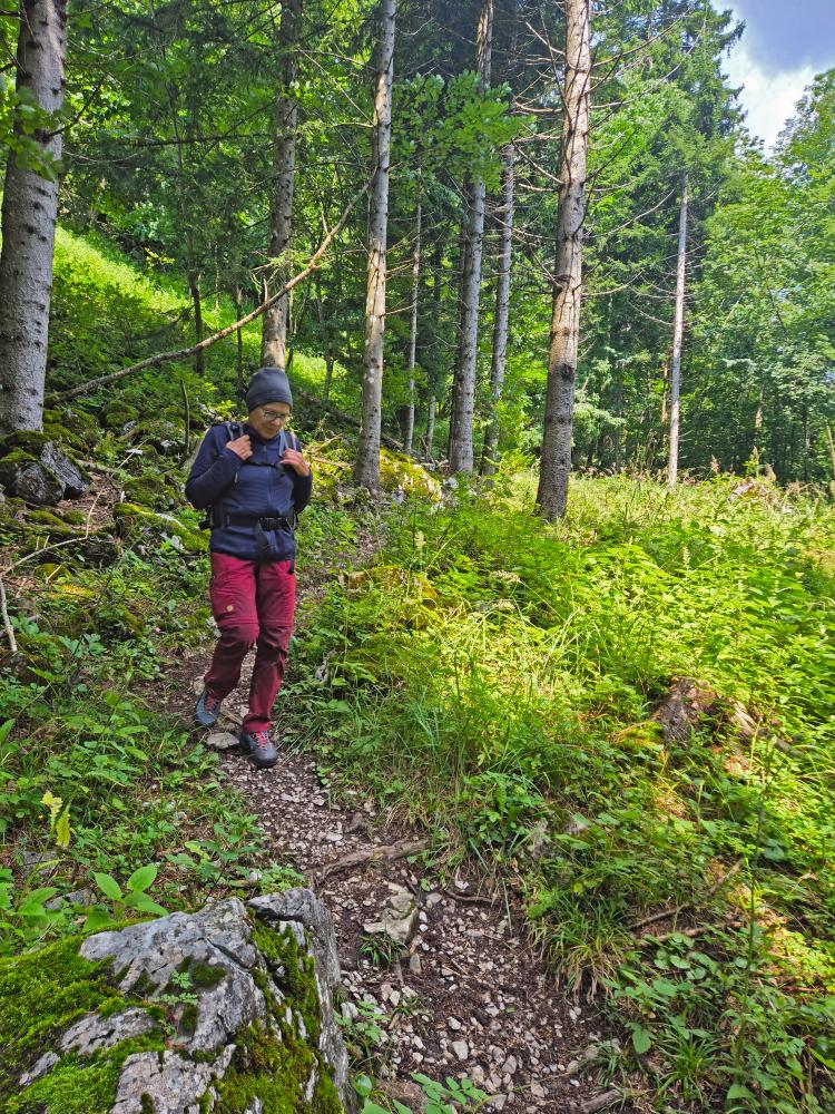 Hohenstein (51 Bildaufrufe)