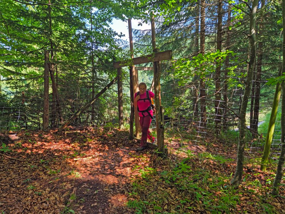 Hohenstein (47 Bildaufrufe)