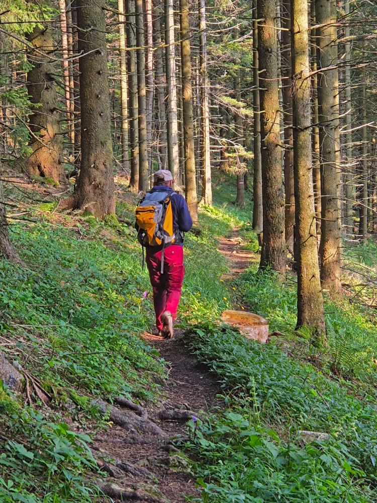 Hohenstein (33 Bildaufrufe)