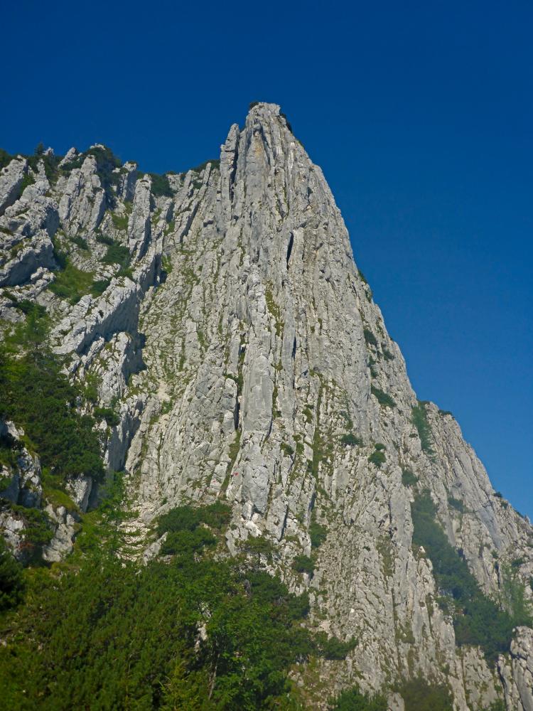 Alberfeldkogel-Gr.Höllkogel (63 Bildaufrufe)