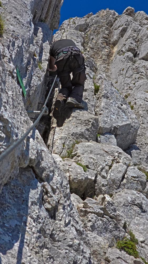 Alberfeldkogel-Gr.Höllkogel (70 Bildaufrufe)