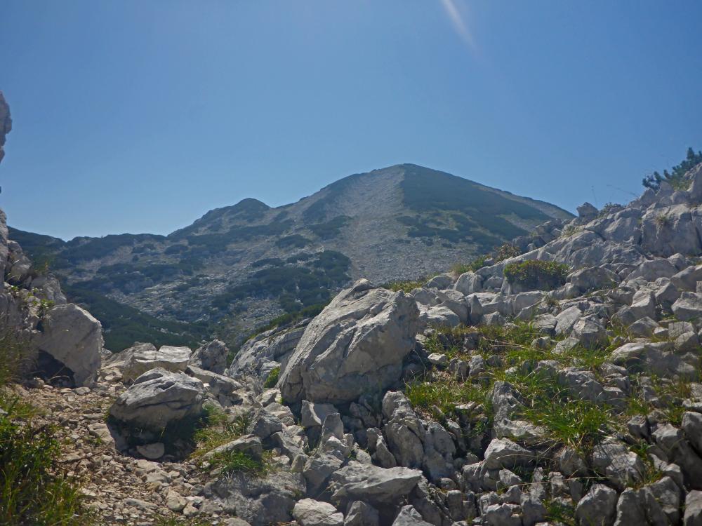 Alberfeldkogel-Gr.Höllkogel (60 Bildaufrufe)