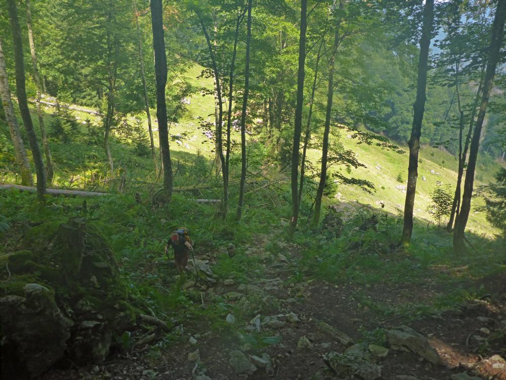 Sparber (46 Bildaufrufe)