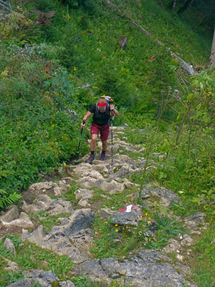 Sparber (45 Bildaufrufe)