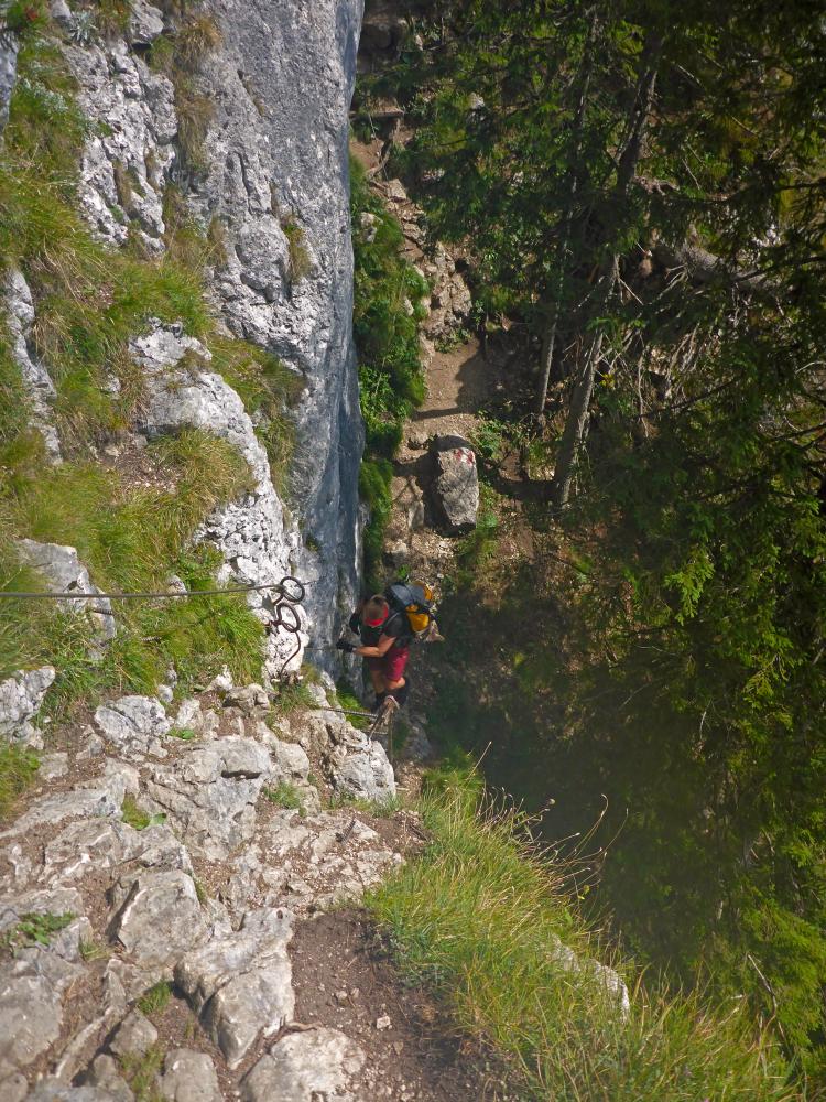 Sparber (47 Bildaufrufe)