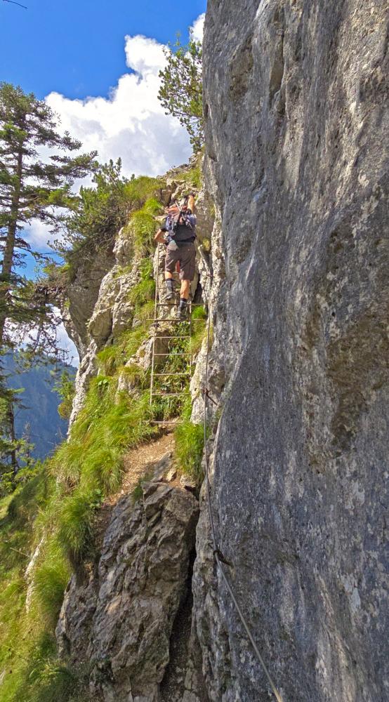 Sparber (49 Bildaufrufe)