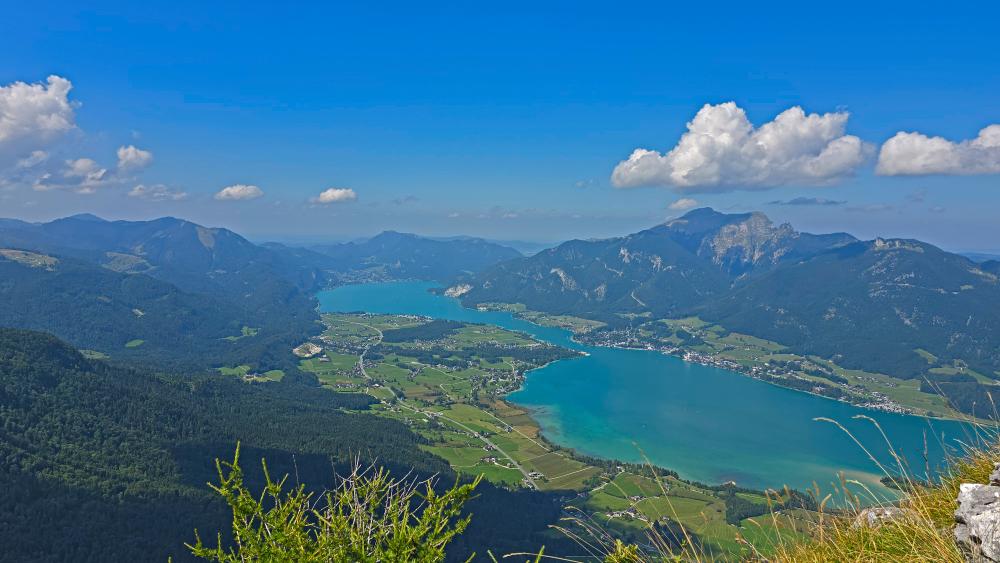 Sparber (47 Bildaufrufe)