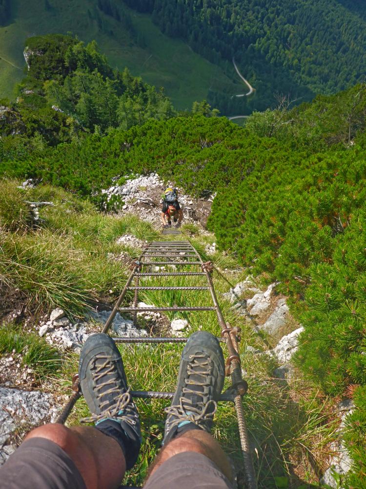 Sparber (48 Bildaufrufe)